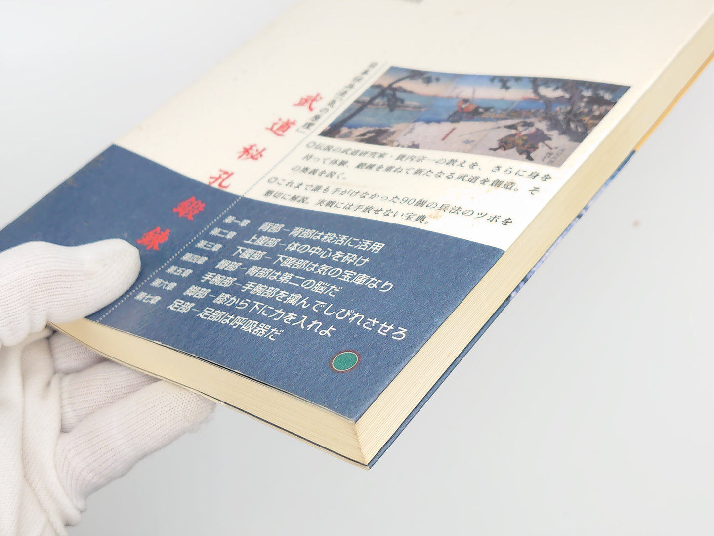 201 日本伝兵法「気の原理」武道秘孔鍛錬法 / 森庸年 / 砂書房