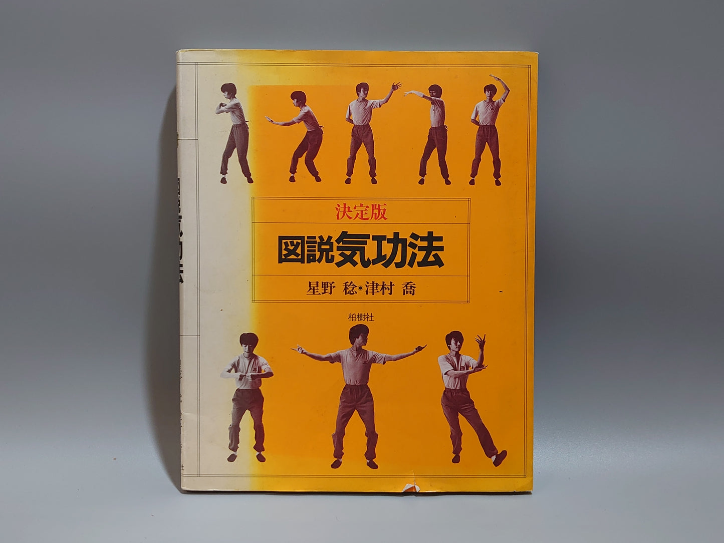 203 図説 気功法 決定版