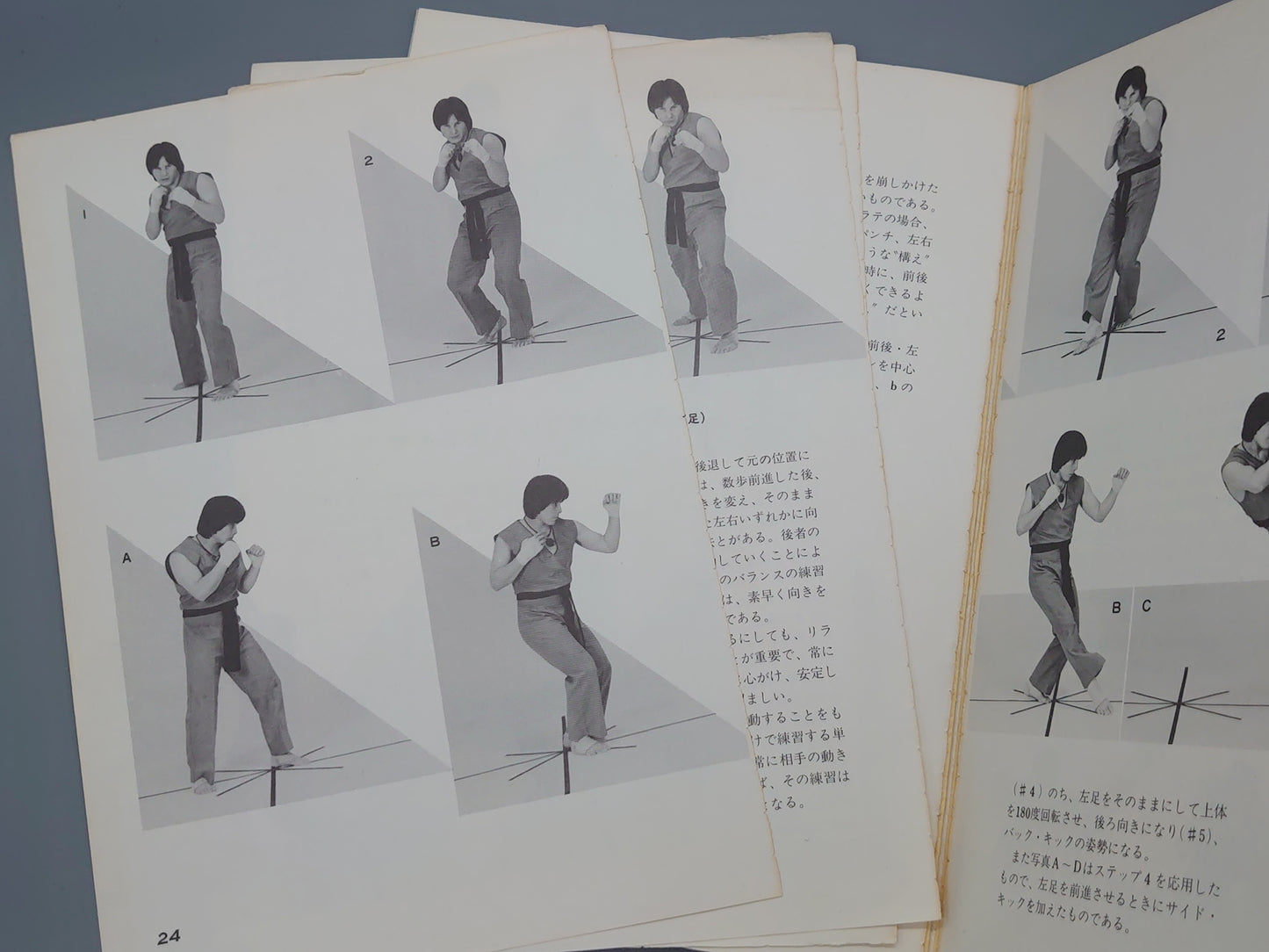 202 秘伝 陳家太極拳入門 老架式/松田隆智/新星出版社