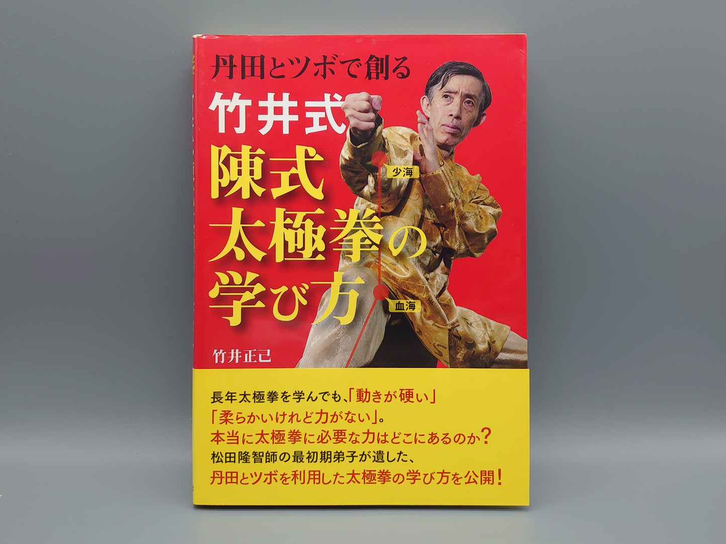 202 丹田とツボで創る 竹井式陳氏太極拳の学び方/竹井正己/日貿出版社