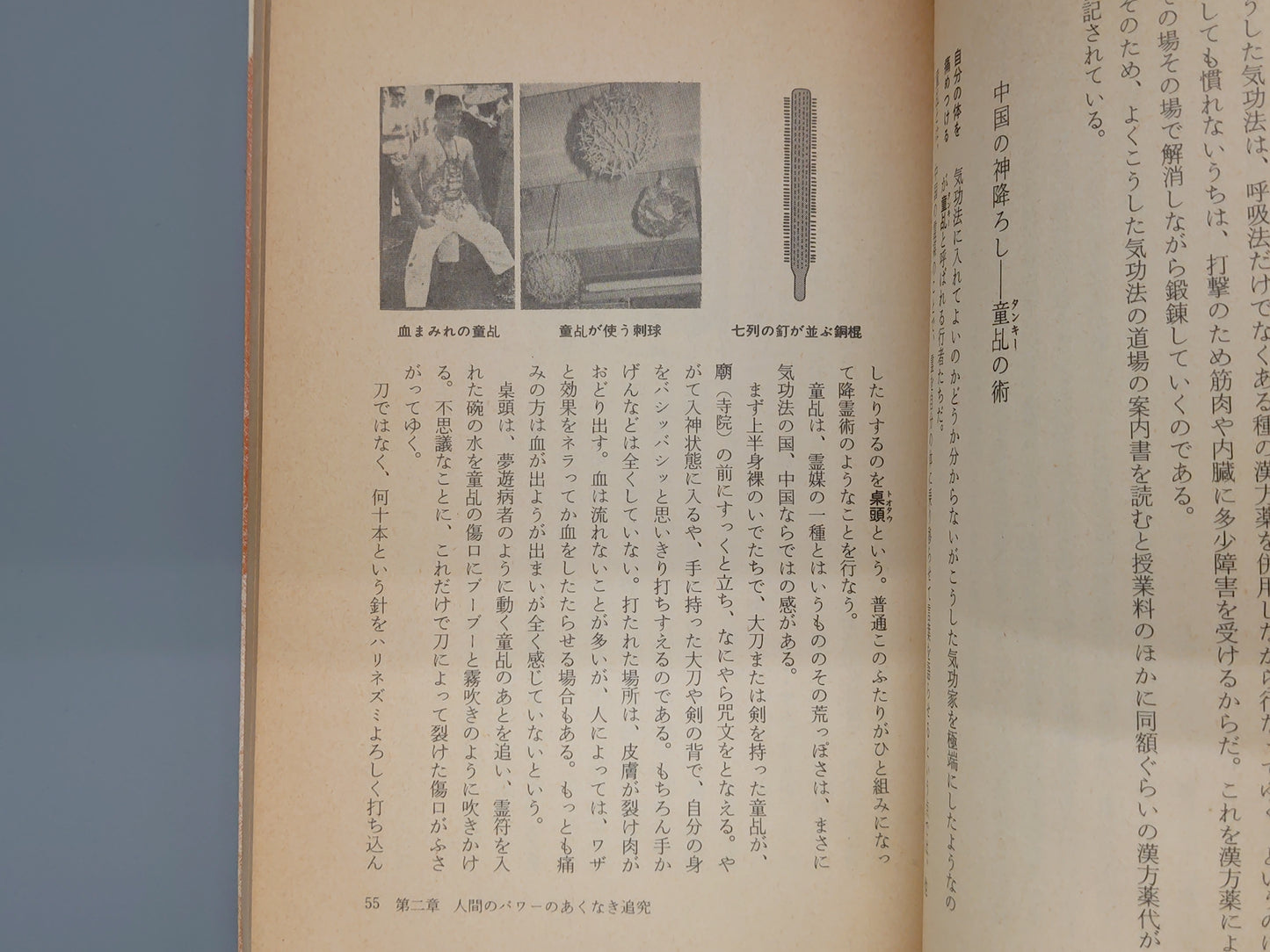 202 現代中国の仙人/高藤聡一郎/大陸書房