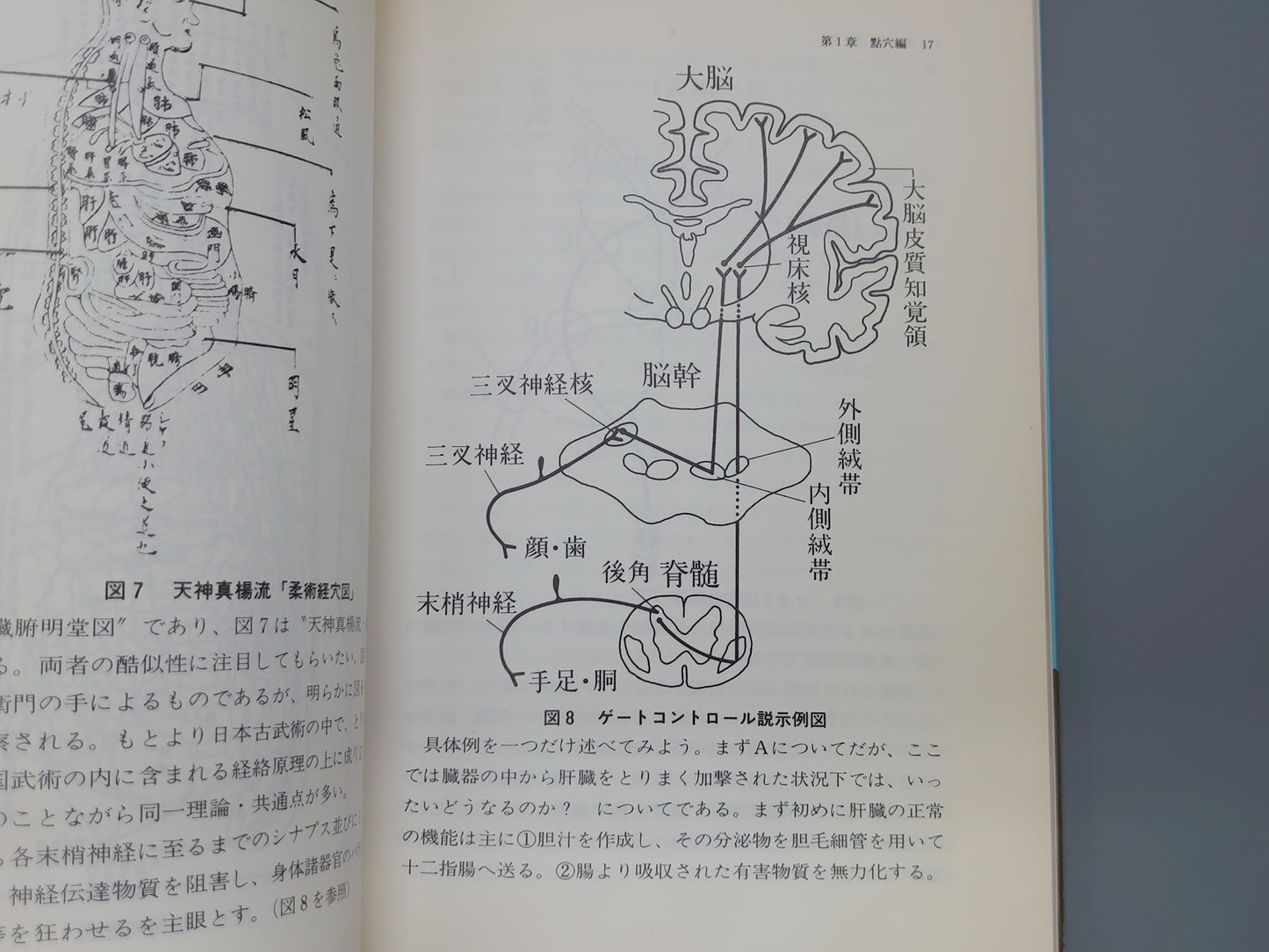 202 點穴・練功・薬功 武術は超科学だ！/呉伯焔/ベースボール・マガジン社