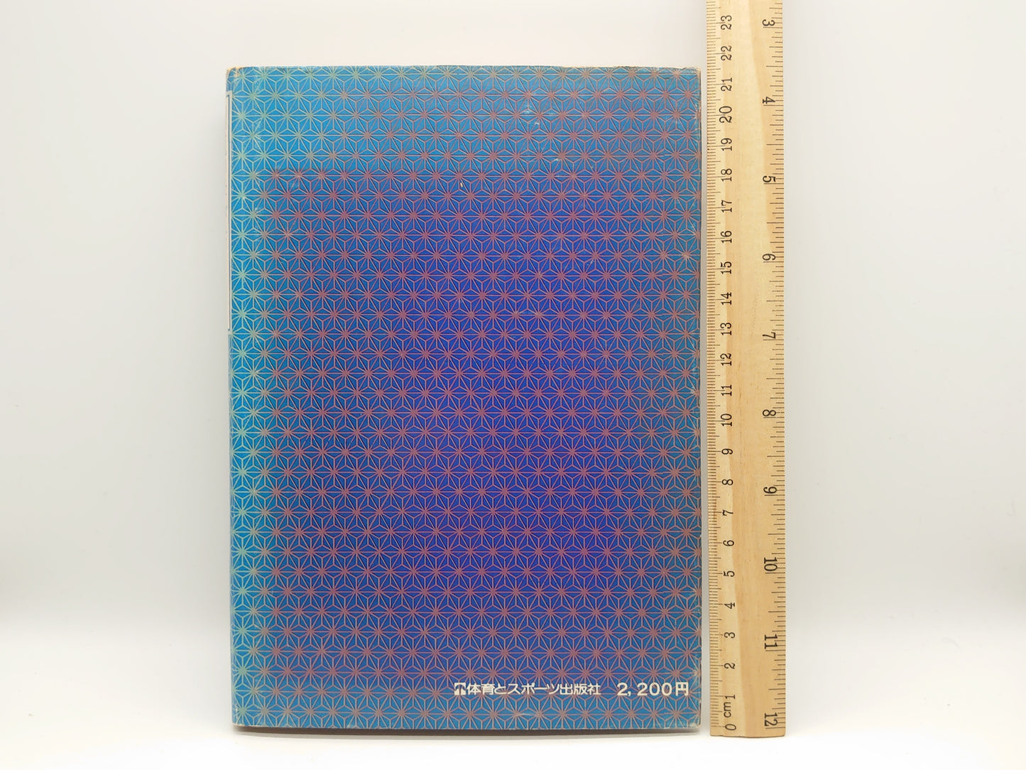 201 剣道の学び方/佐藤忠三/日本スポーツ出版社