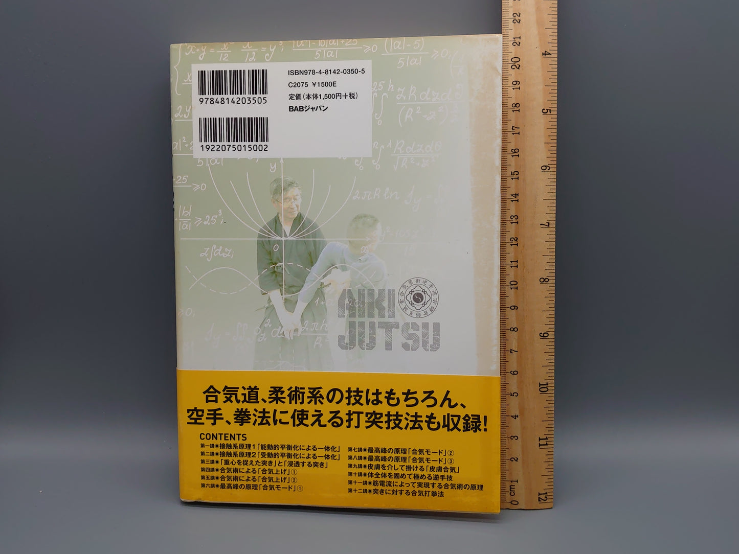 202 力を超えた！合気術を学ぶ 世界一わかりやすい武術の原理/倉部誠/BABジャパン