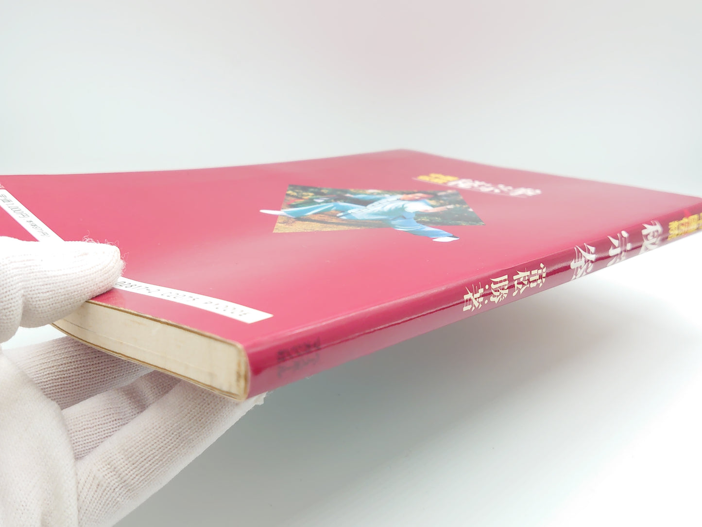 201 中国伝統秘宗拳/常松勝/ベースボール・マガジン社