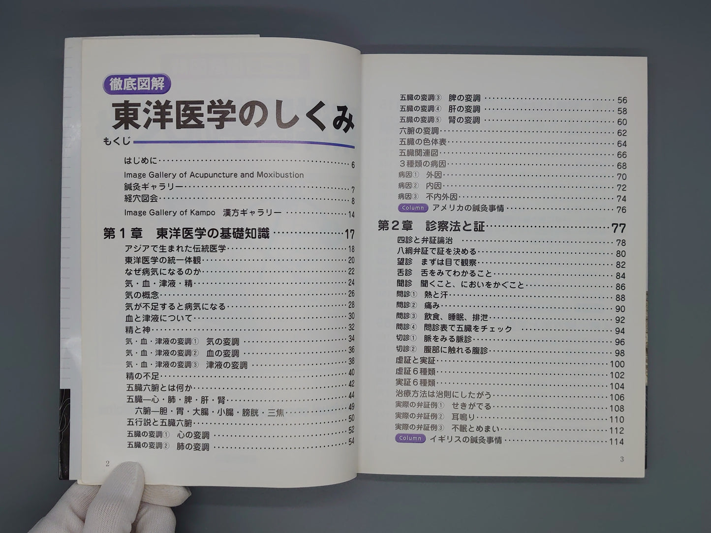 216 カラー版徹底図解 東洋医学のしくみ/兵頭明/新星出版社