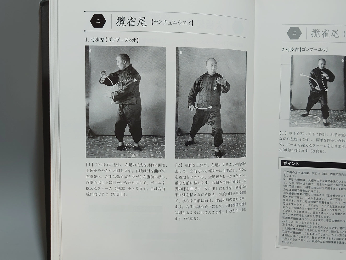 201 楊式太極拳 伝統・簡化・競技套路
