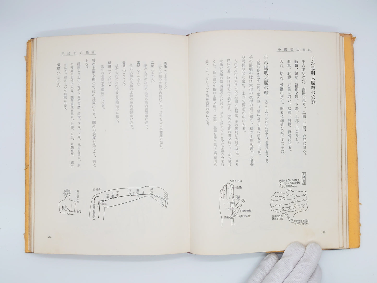 215 図解十四経発揮/本間祥白/医道の日本社