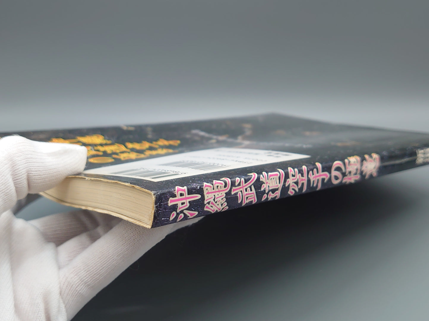 202 沖縄武道空手の極意/新垣清/福昌堂
