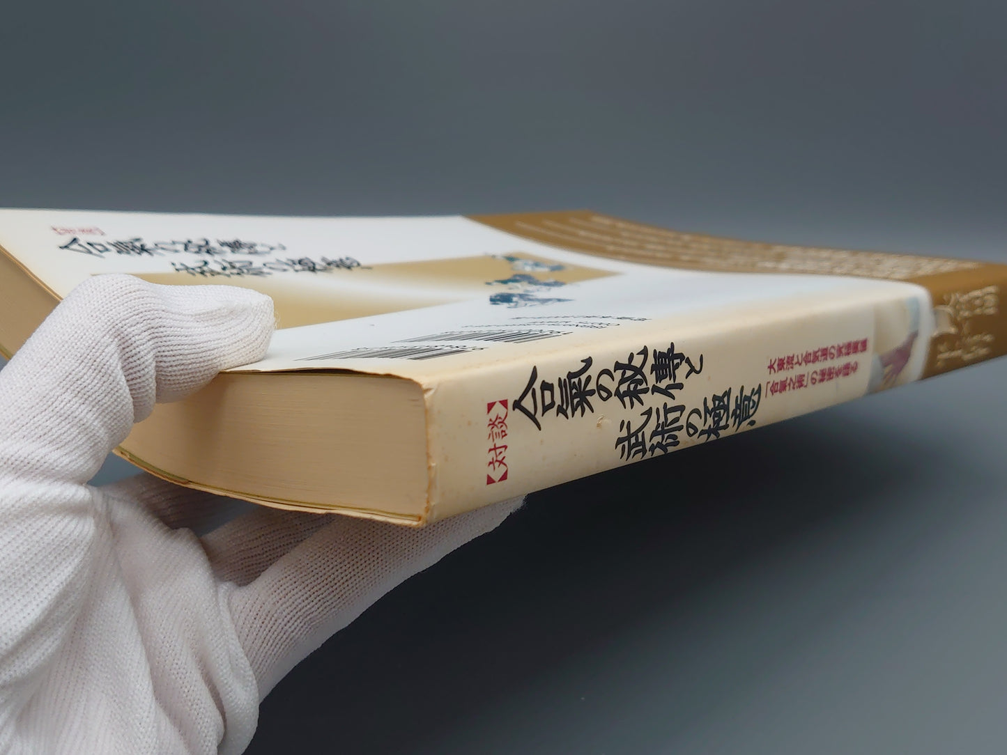 202 【対談】合気の秘傳と武術の極意/大宮司朗・平上信行/八幡書店