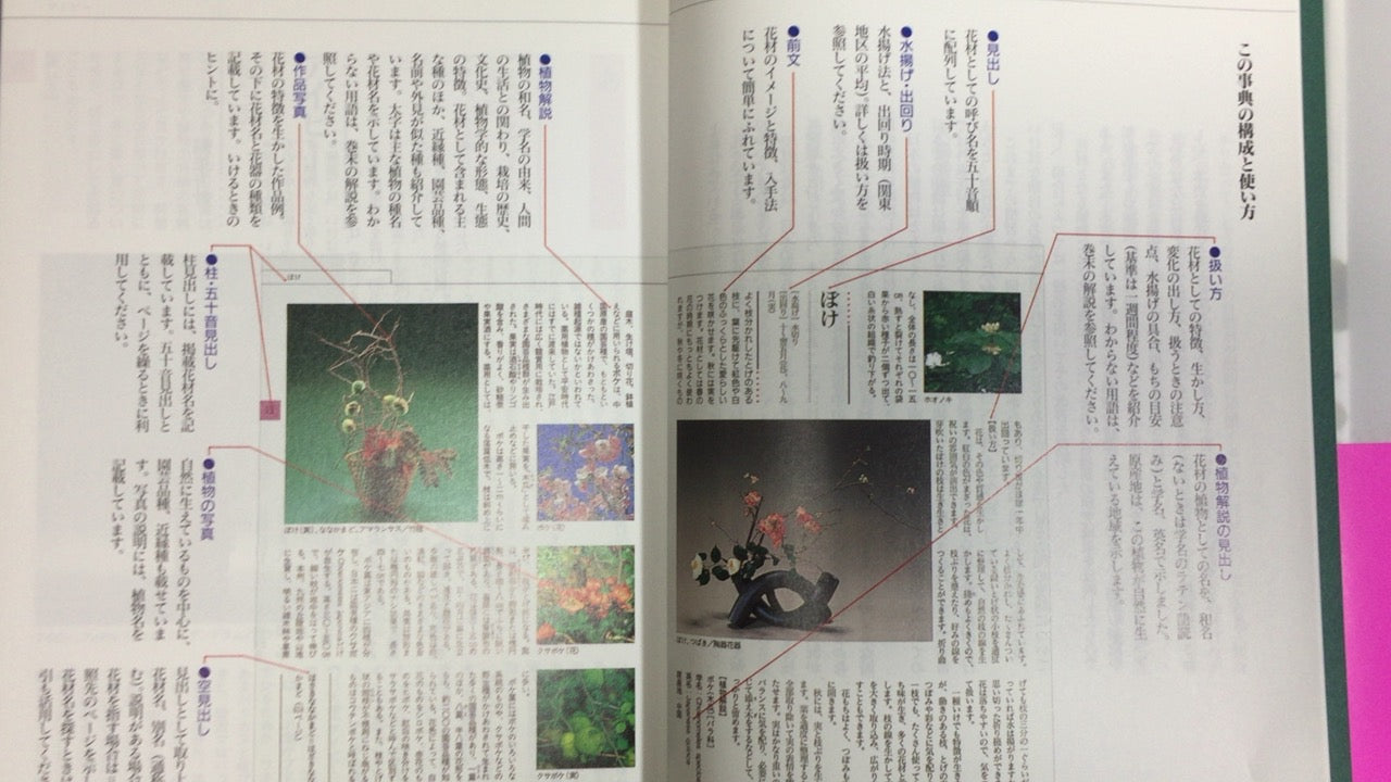 301『現代いけばな花材事典』勅使河原 宏 大場 秀章 清水 晶子/草月出版