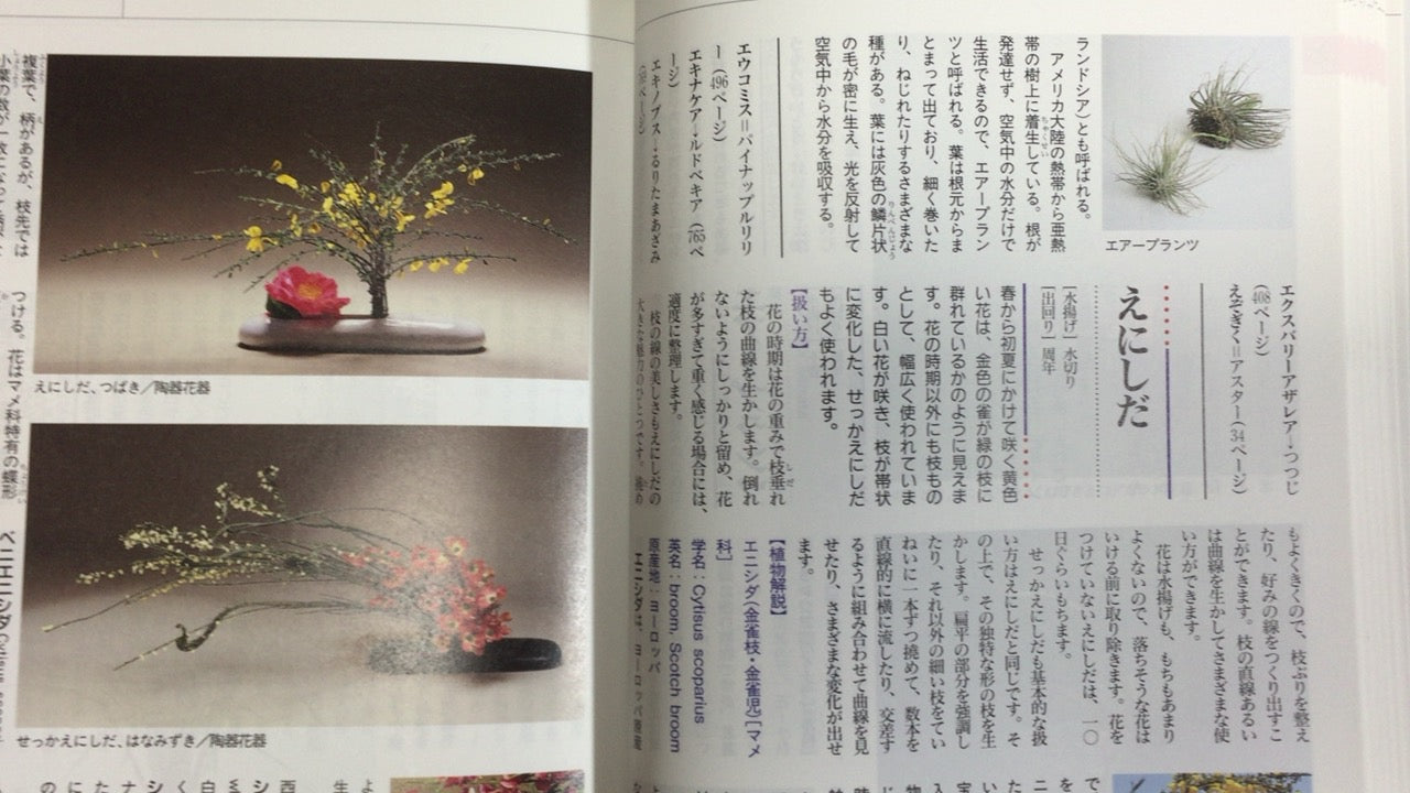301『現代いけばな花材事典』勅使河原 宏 大場 秀章 清水 晶子/草月出版