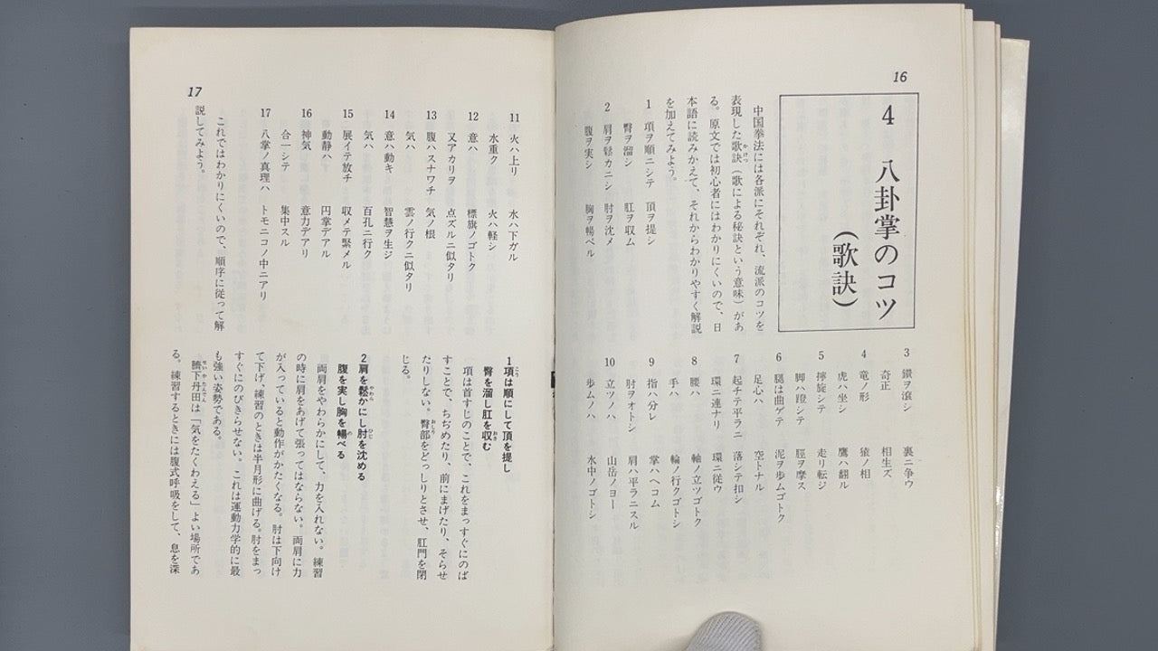 201 中国拳法 八卦掌 / 佐藤金兵衛 / 愛隆堂