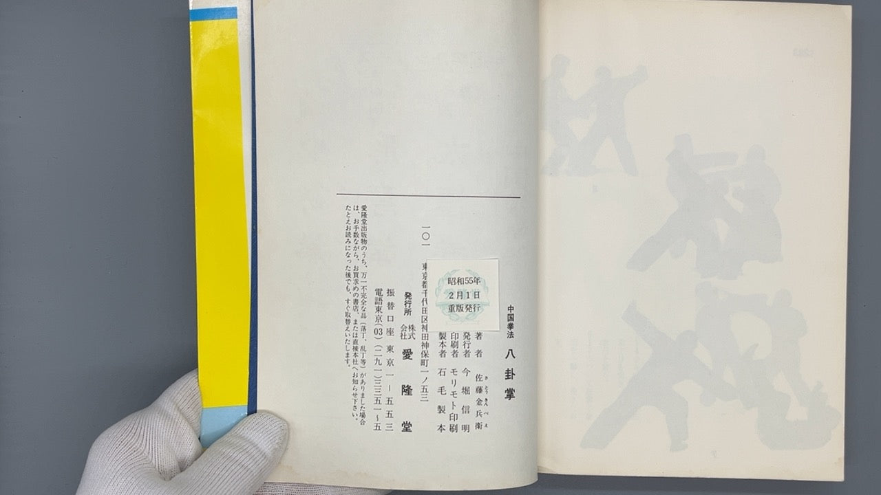 201 中国拳法 八卦掌 / 佐藤金兵衛 / 愛隆堂