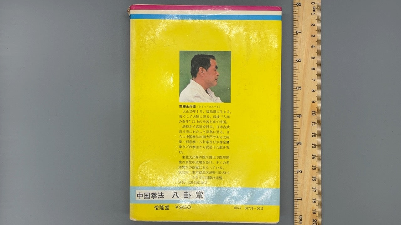 201 中国拳法 八卦掌 / 佐藤金兵衛 / 愛隆堂