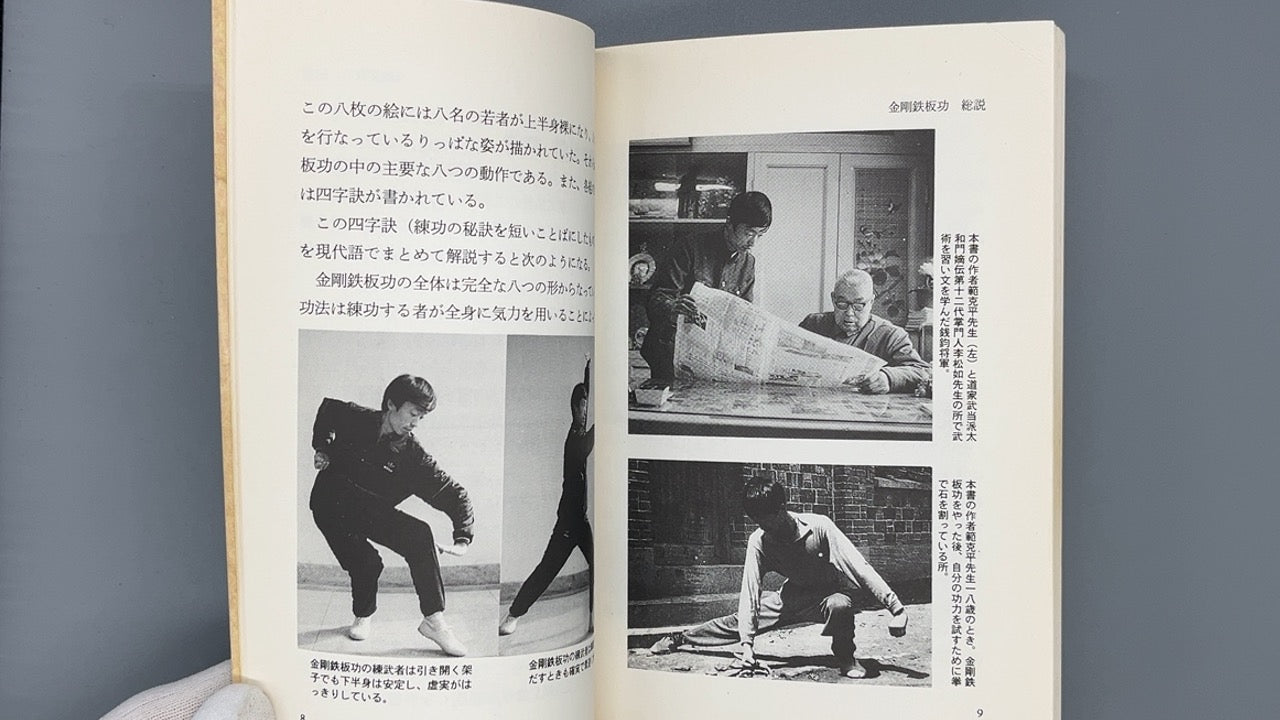 201 武術気功入門  金剛鉄板功 / 範克平 / べースボール・マガジン社