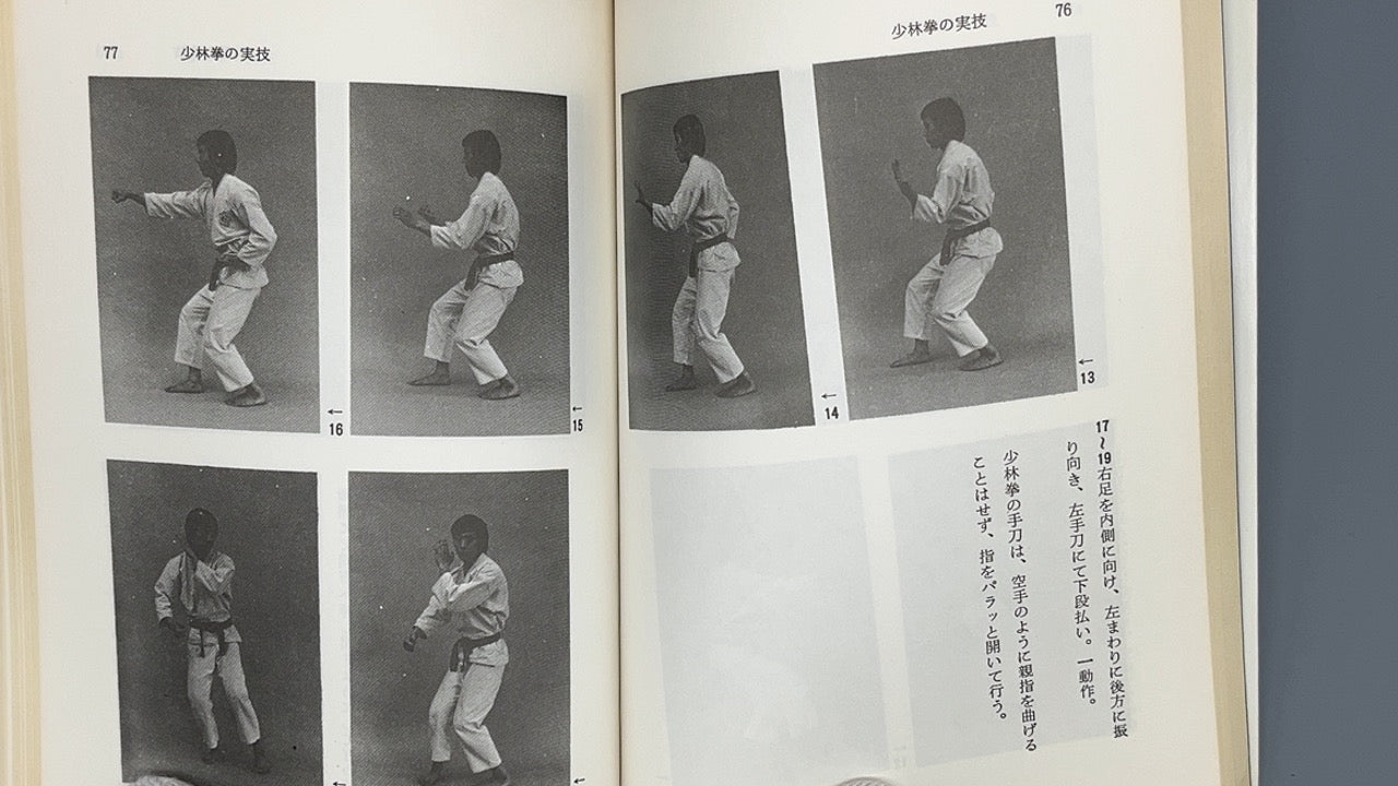 201 中国拳法 少林拳 / 佐藤金兵衛 / 愛隆堂