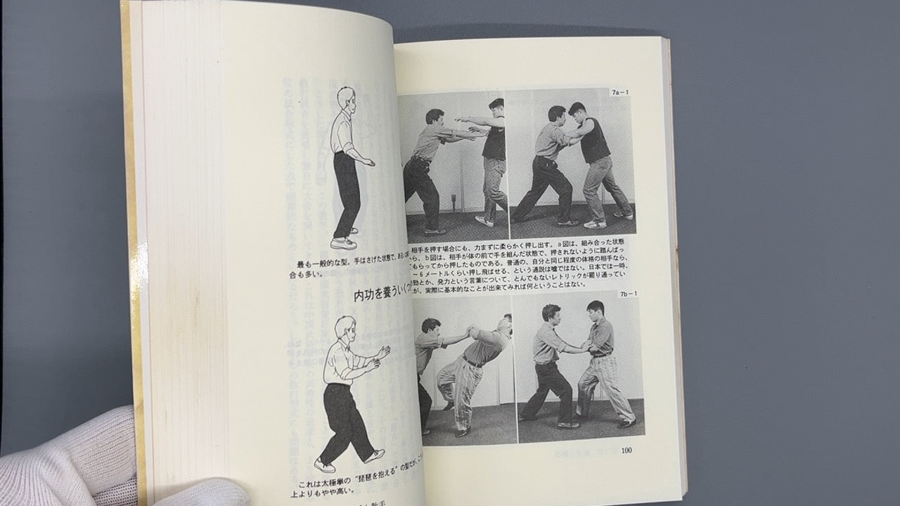 201 気功と中国武術 / 上野彰 / ベースボール・マガジン社