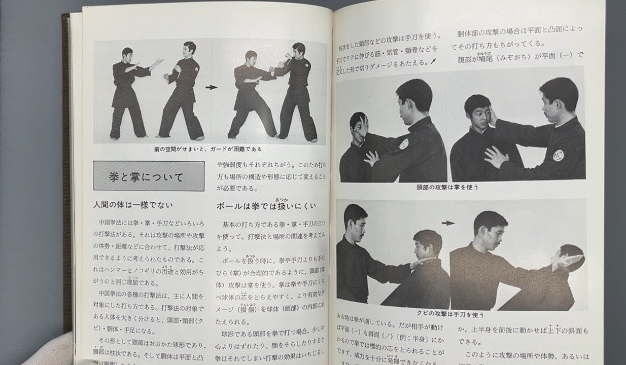 201 少林派 中国拳法教範 / 蘇東成 / 愛隆堂