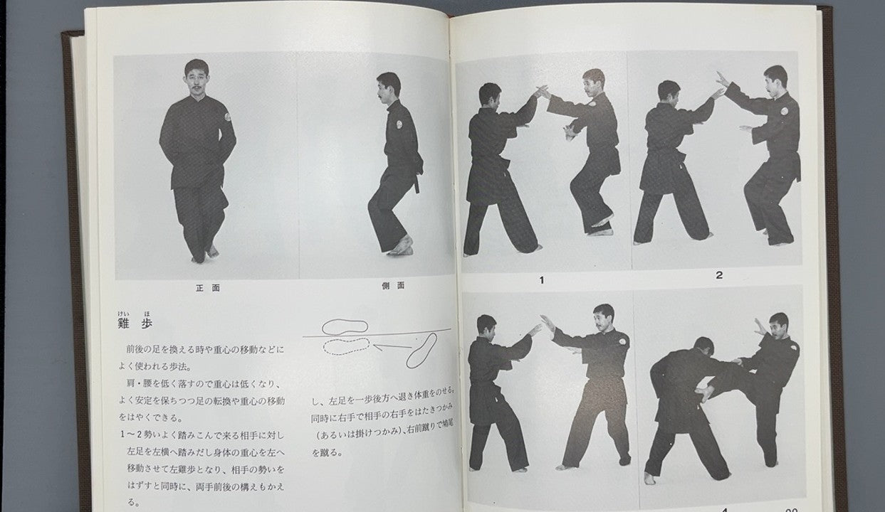 201 少林派 中国拳法教範 / 蘇東成 / 愛隆堂