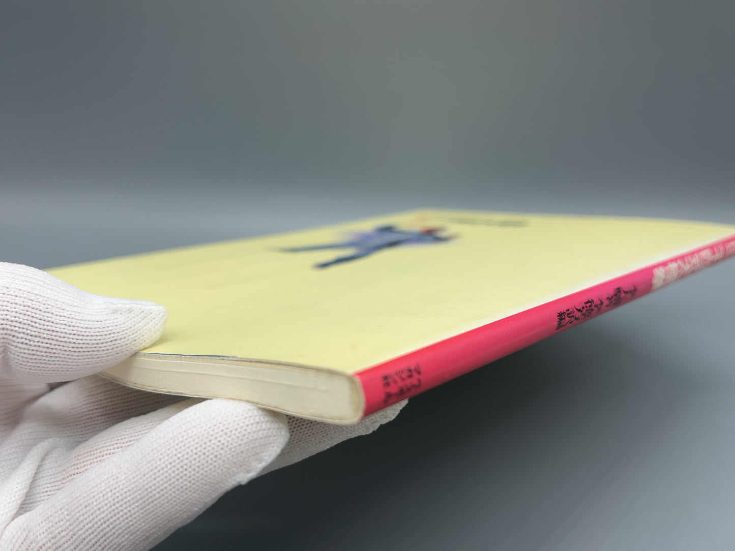 202 簡化二十四式太極拳 / 李天驥 著、李徳芳 訳編 / ベースボール・マガジン社