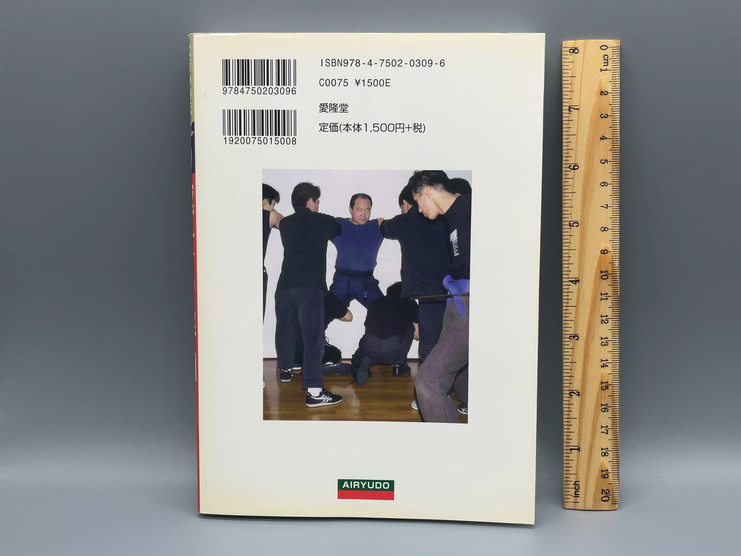 202 極意の解明 / 近藤孝洋 / 愛隆堂