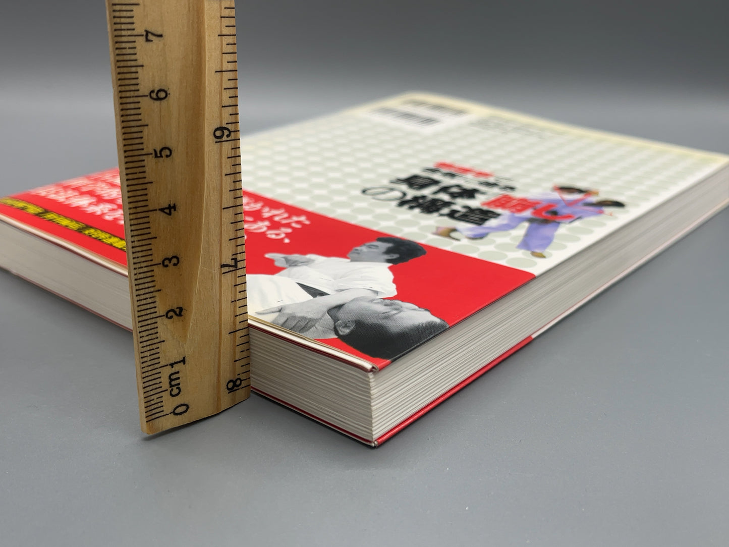 202 物理学で合気に迫る 身体「崩し」の構造 / 保江邦夫 / BABジャパン