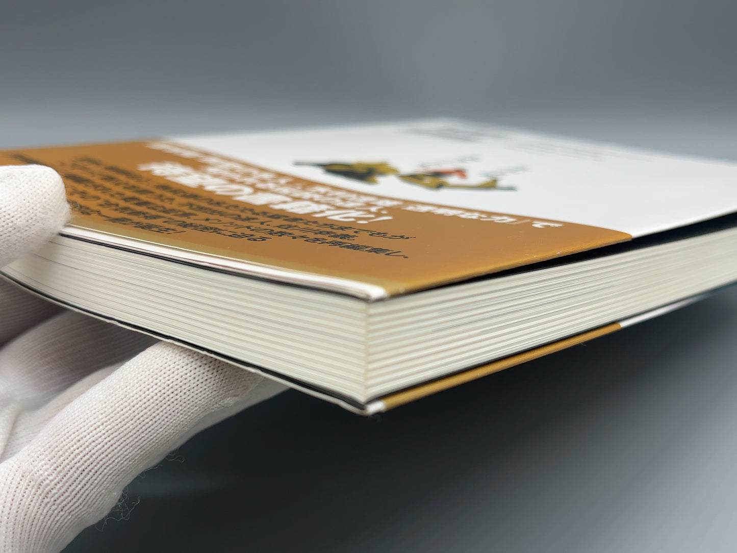 202 佐川幸義 神業の合気 / 「月刊秘伝 」編集部 編/ BABジャパン