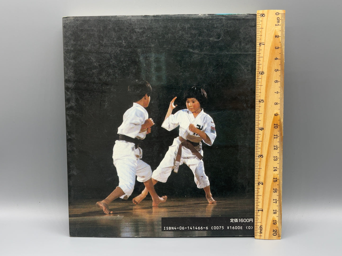 202 少林寺拳法 / 日本少林寺拳法連盟 編 / 講談社