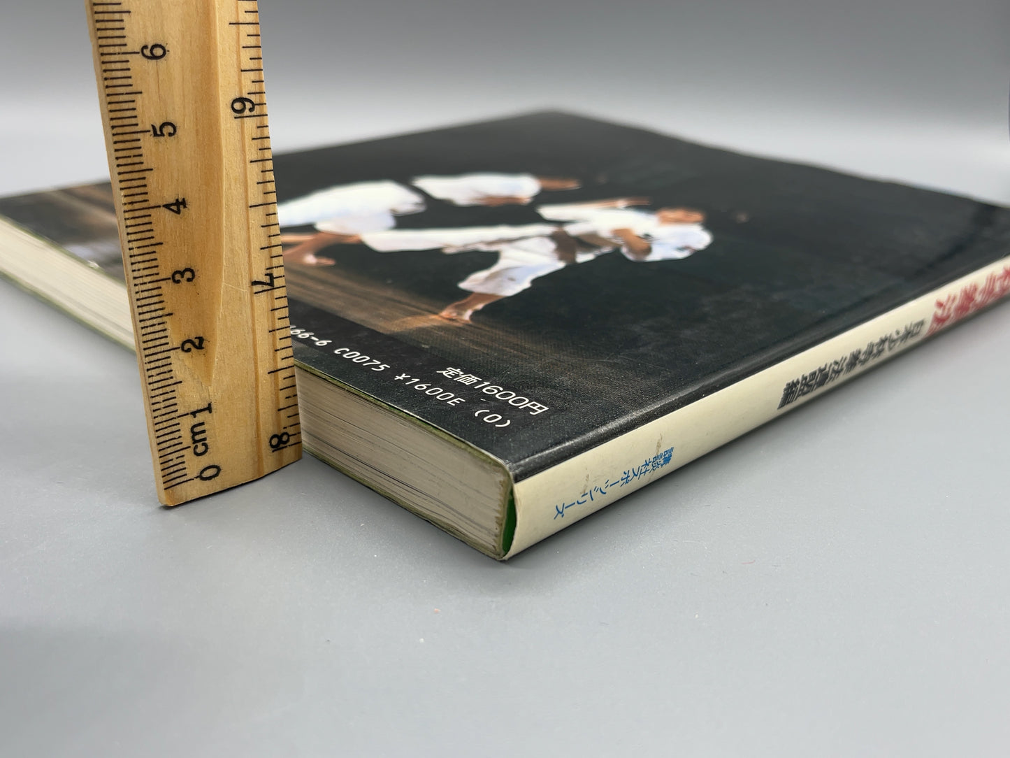 202 少林寺拳法 / 日本少林寺拳法連盟 編 / 講談社