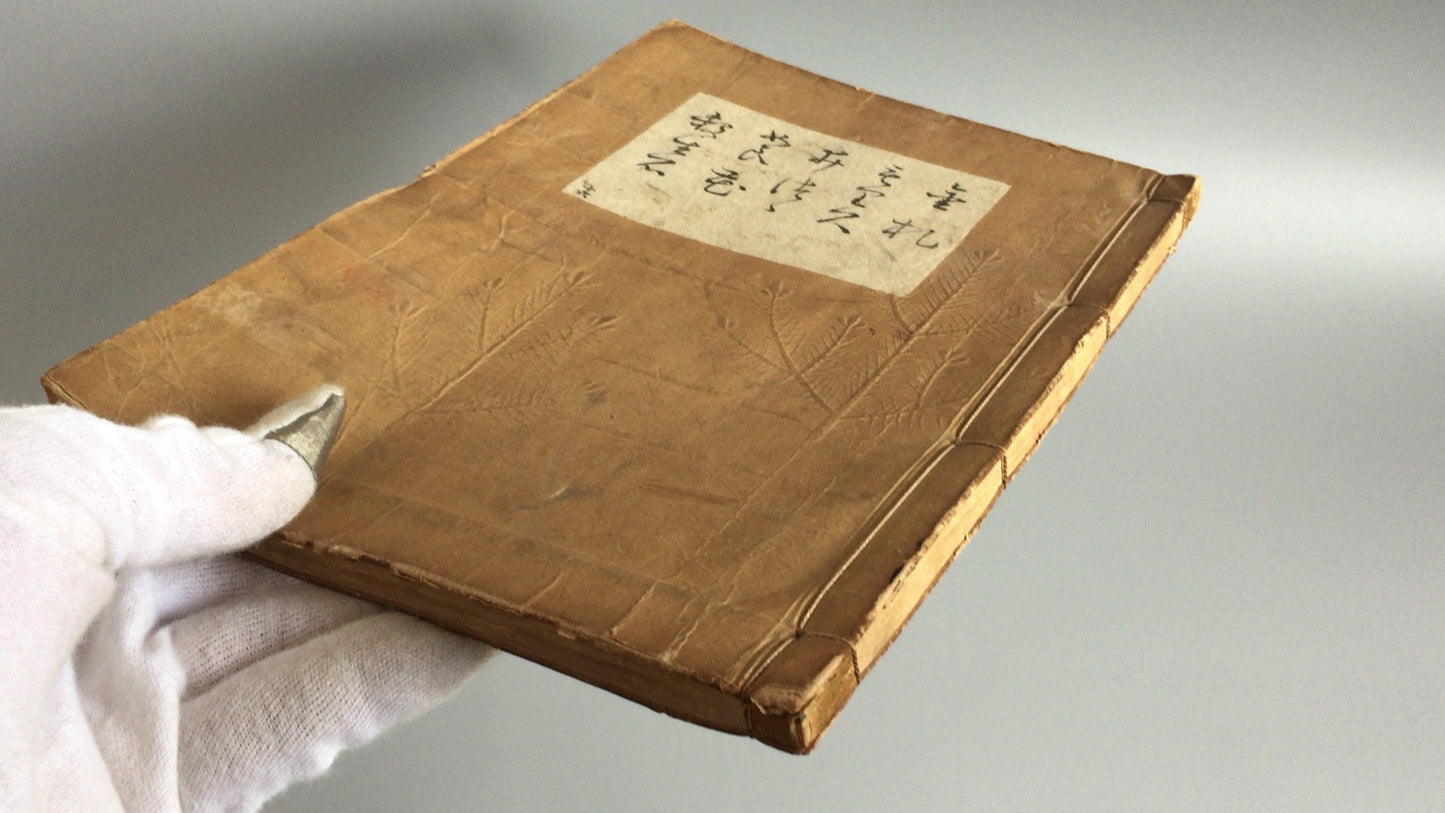 301 小圆七郎的《完屋横极书店》