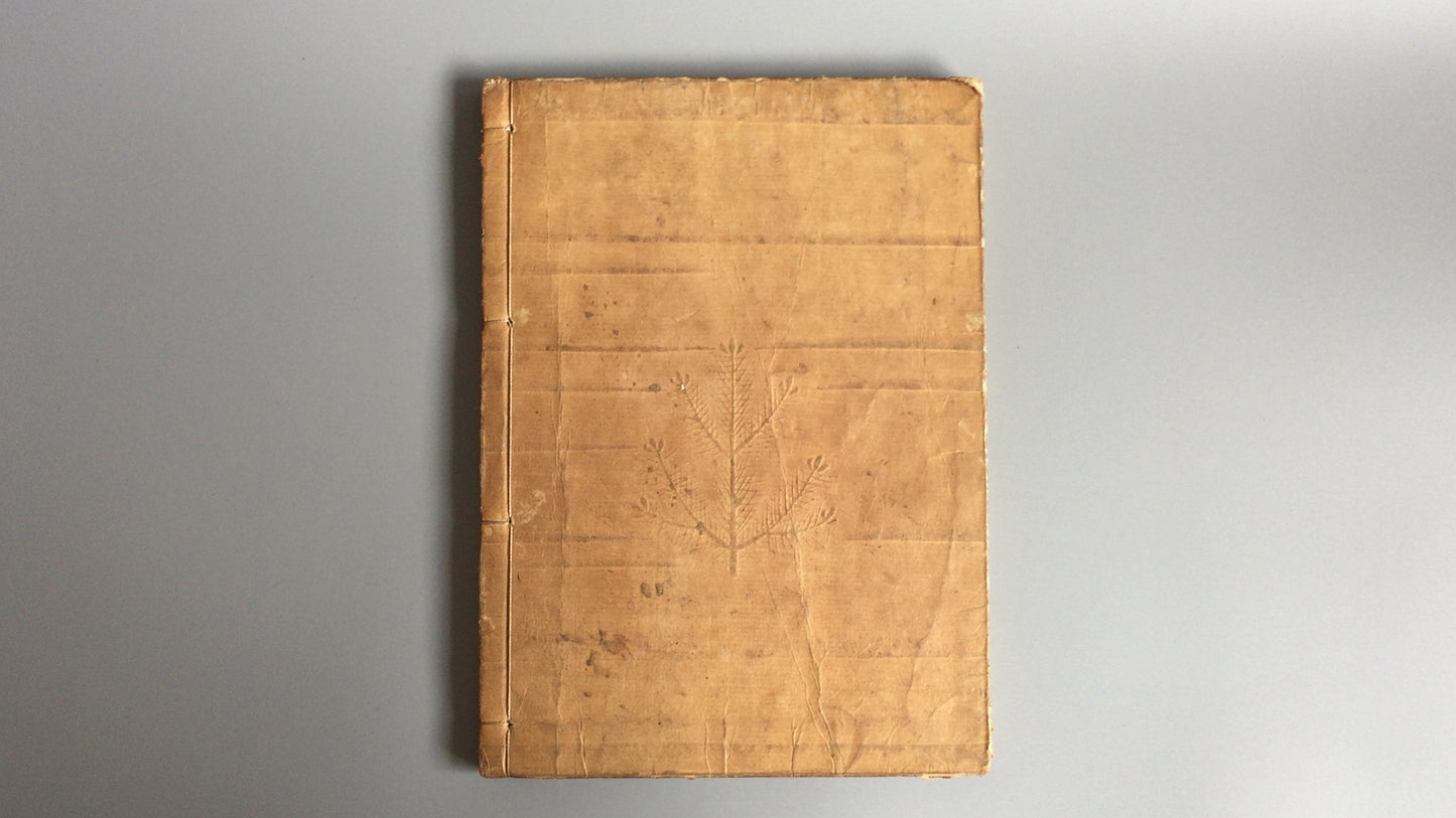 301 小圆七郎的《完屋横极书店》