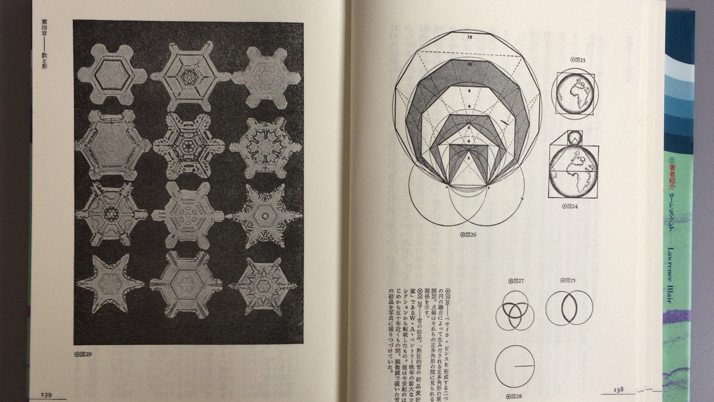 301 超/自然研究：宇宙与意识的节奏/劳伦斯·布莱尔着/菅康彦译/平川出版社