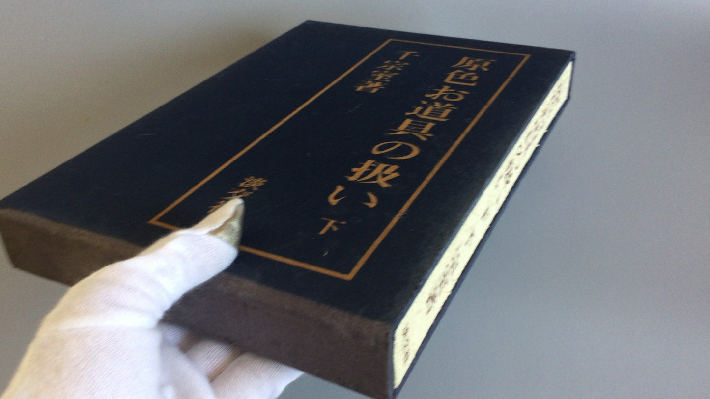 301 “原色工具的处理第 2 部分”作者：Soshitsu Sen/Tankosha