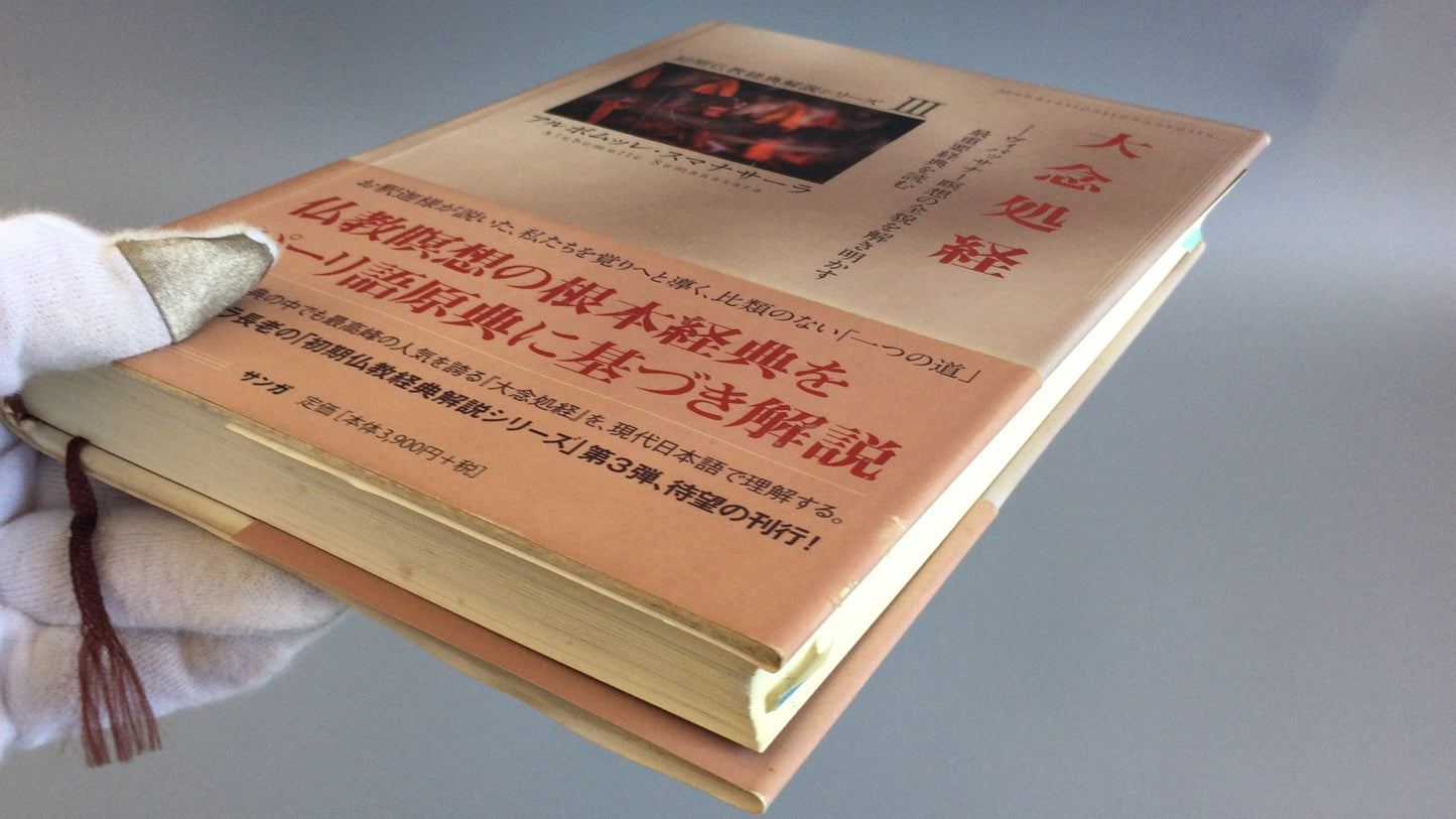 301 早期佛经注释系列 III 大年书经 Albomullle Sumanasara/Sanga