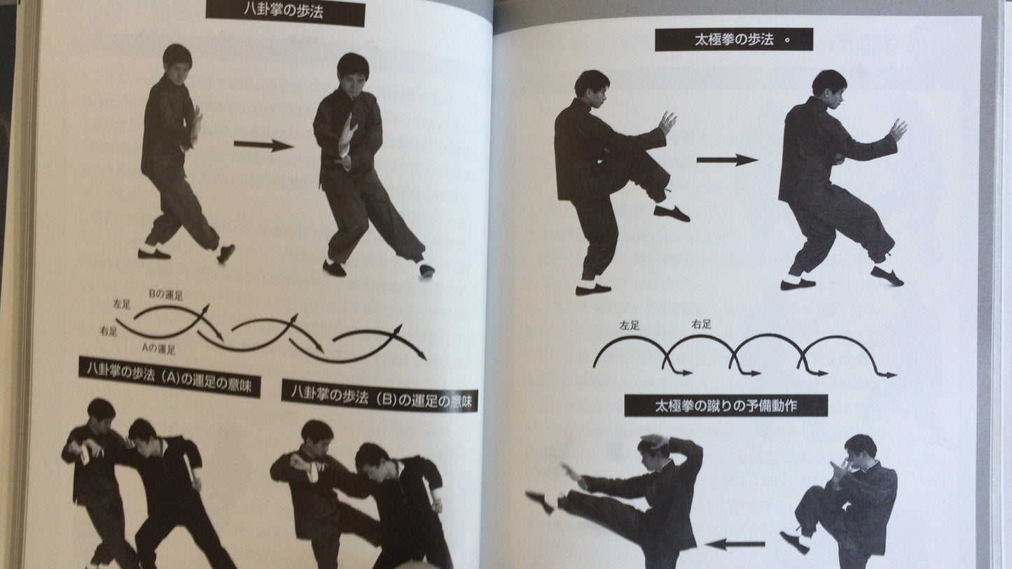 301『太極拳の科学』陳 孺性/愛隆堂