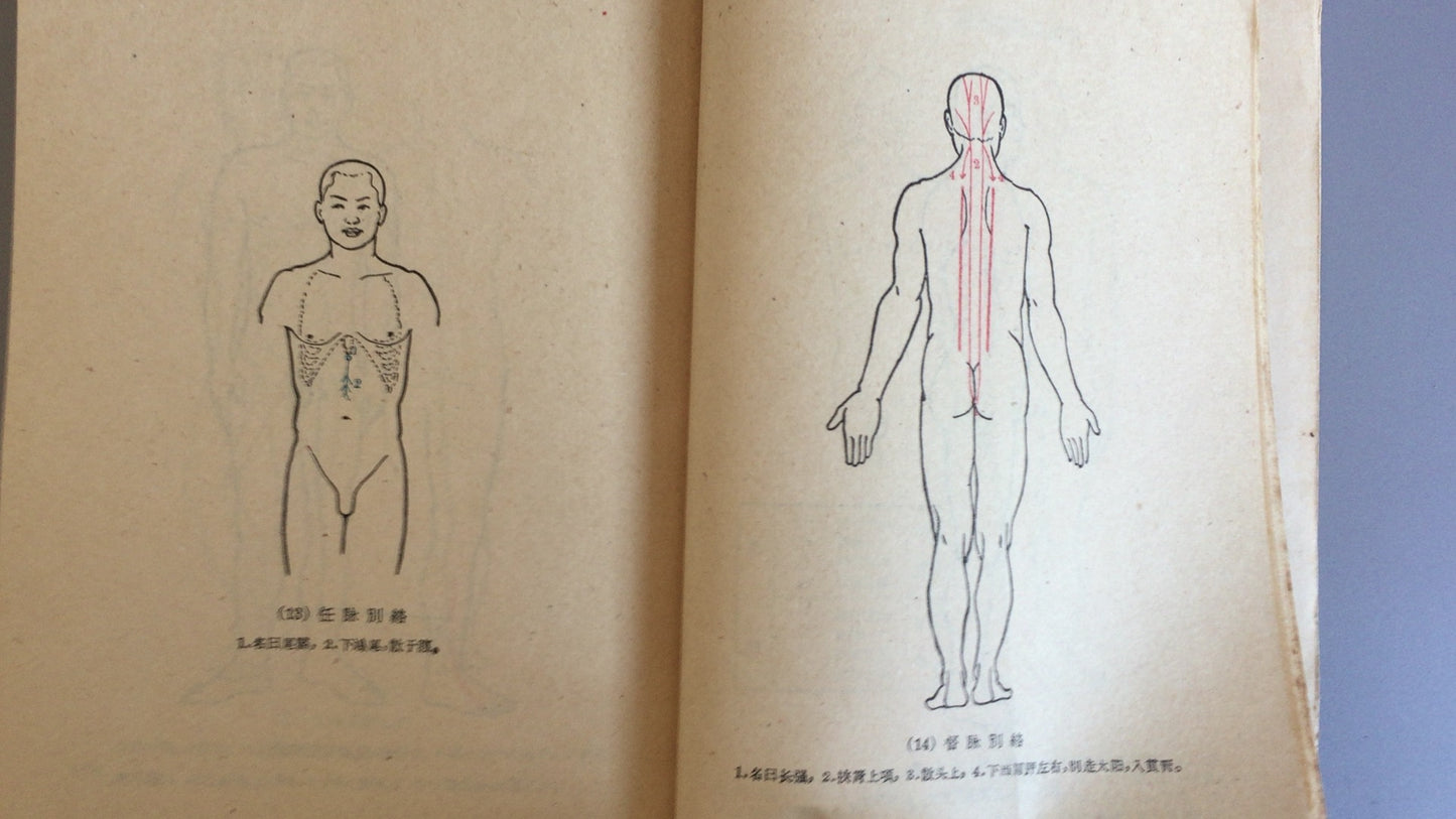 301『鍼灸学講義』上海中医学鍼灸学教研組/上海科技出版