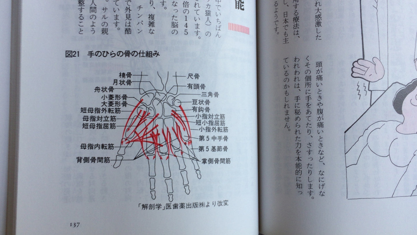 301『こんなに効く手のツボ刺激療法』五十嵐康彦/日本文芸社