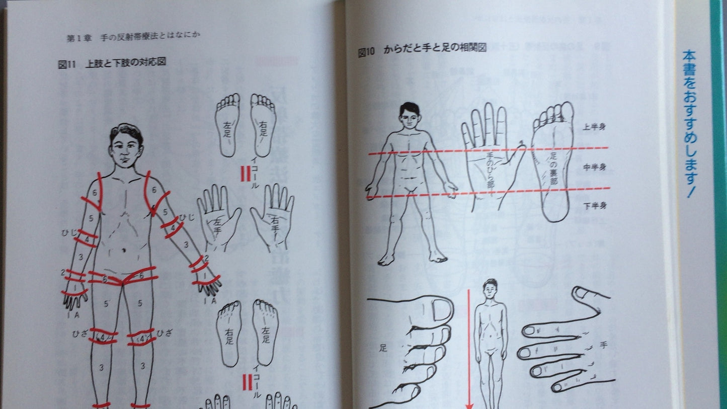 301『こんなに効く手のツボ刺激療法』五十嵐康彦/日本文芸社