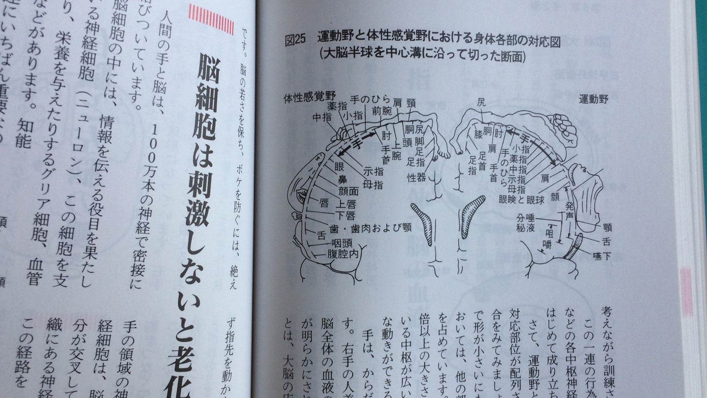301『こんなに効く手のツボ刺激療法』五十嵐康彦/日本文芸社