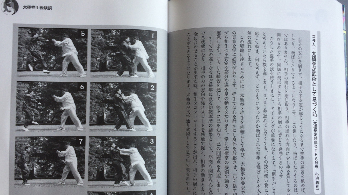 301『太極推手入門』劉慶洲/BABジャパン