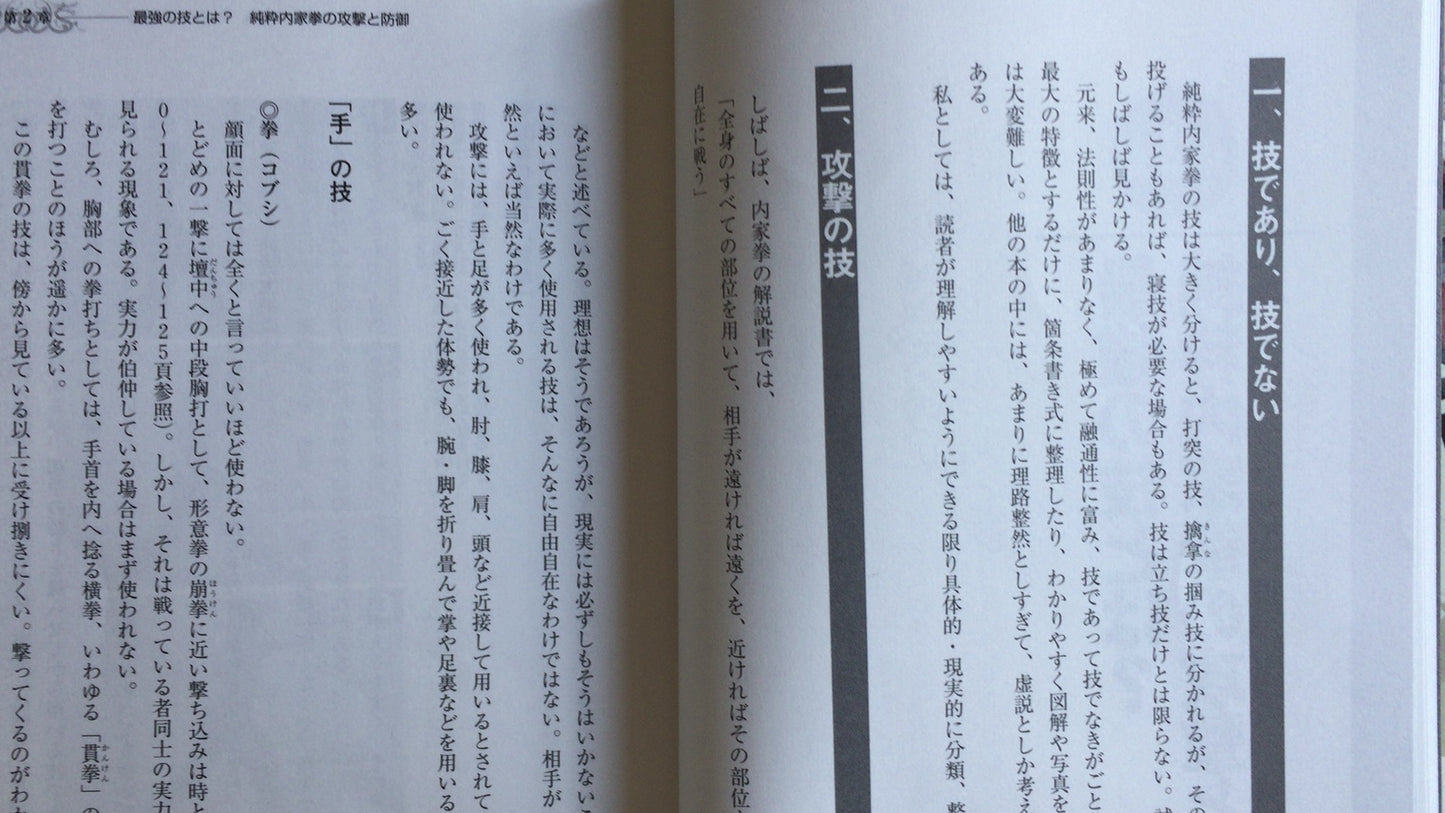 301『実践内家拳ファイル あくなき試行の記録』佐藤貴生/BABジャパン