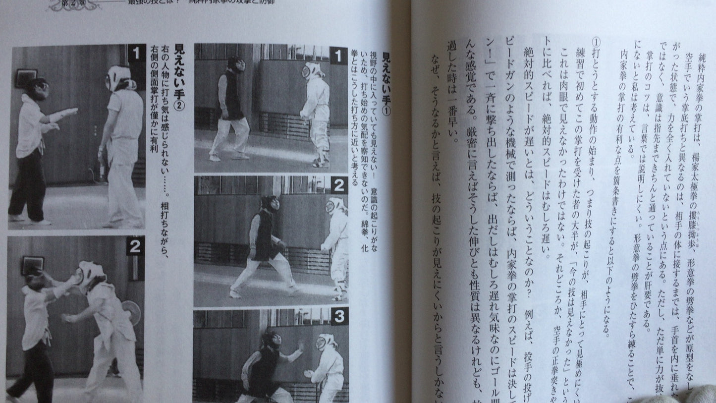 301『実践内家拳ファイル あくなき試行の記録』佐藤貴生/BABジャパン