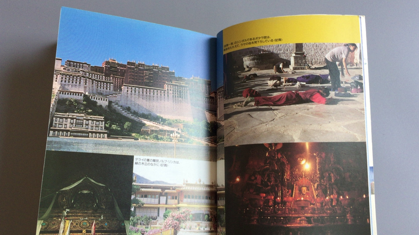 301『チベット 歴史と文化』チレ・チュジャ著/池上正治訳/東方書店