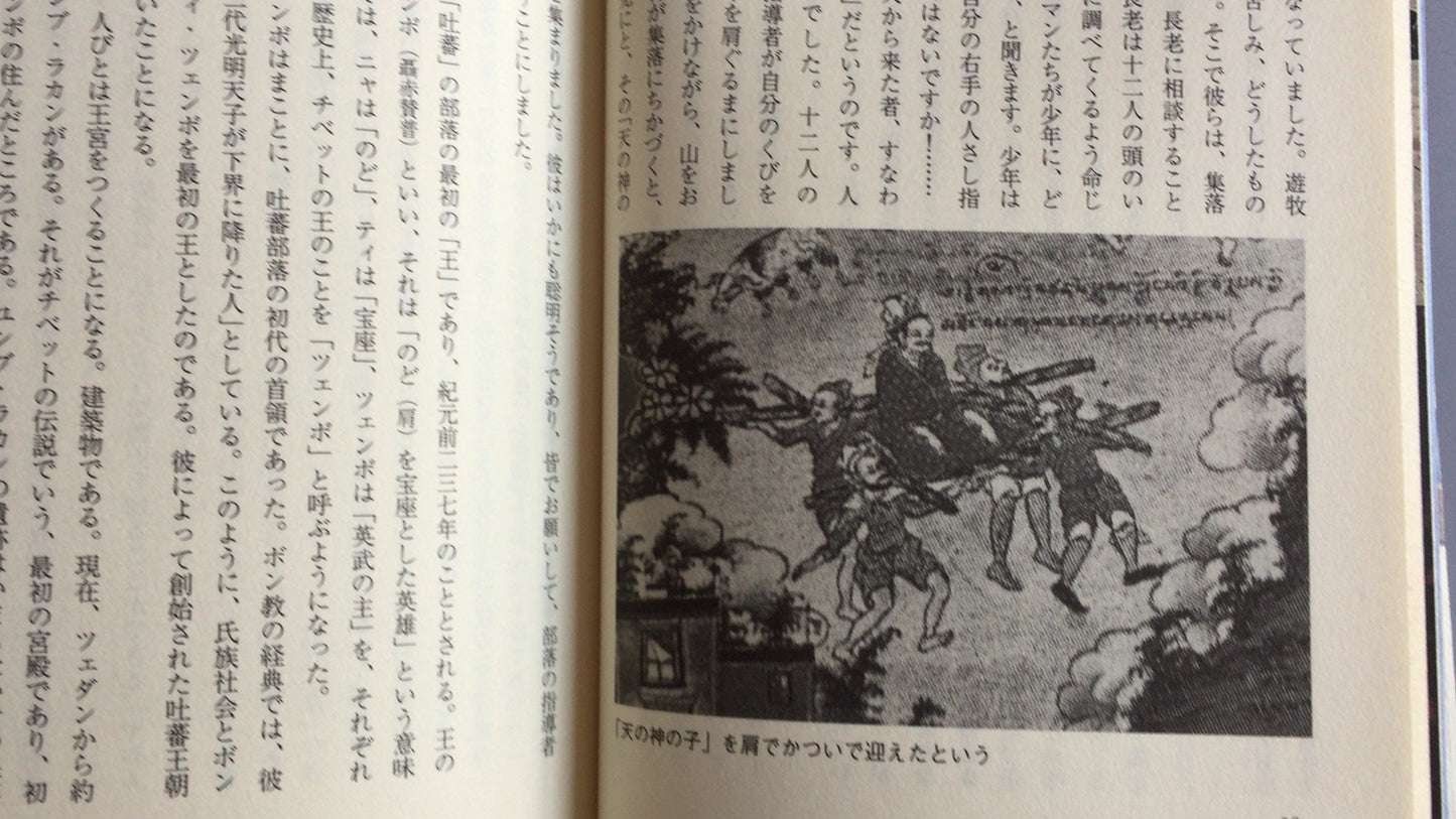 301『チベット 歴史と文化』チレ・チュジャ著/池上正治訳/東方書店