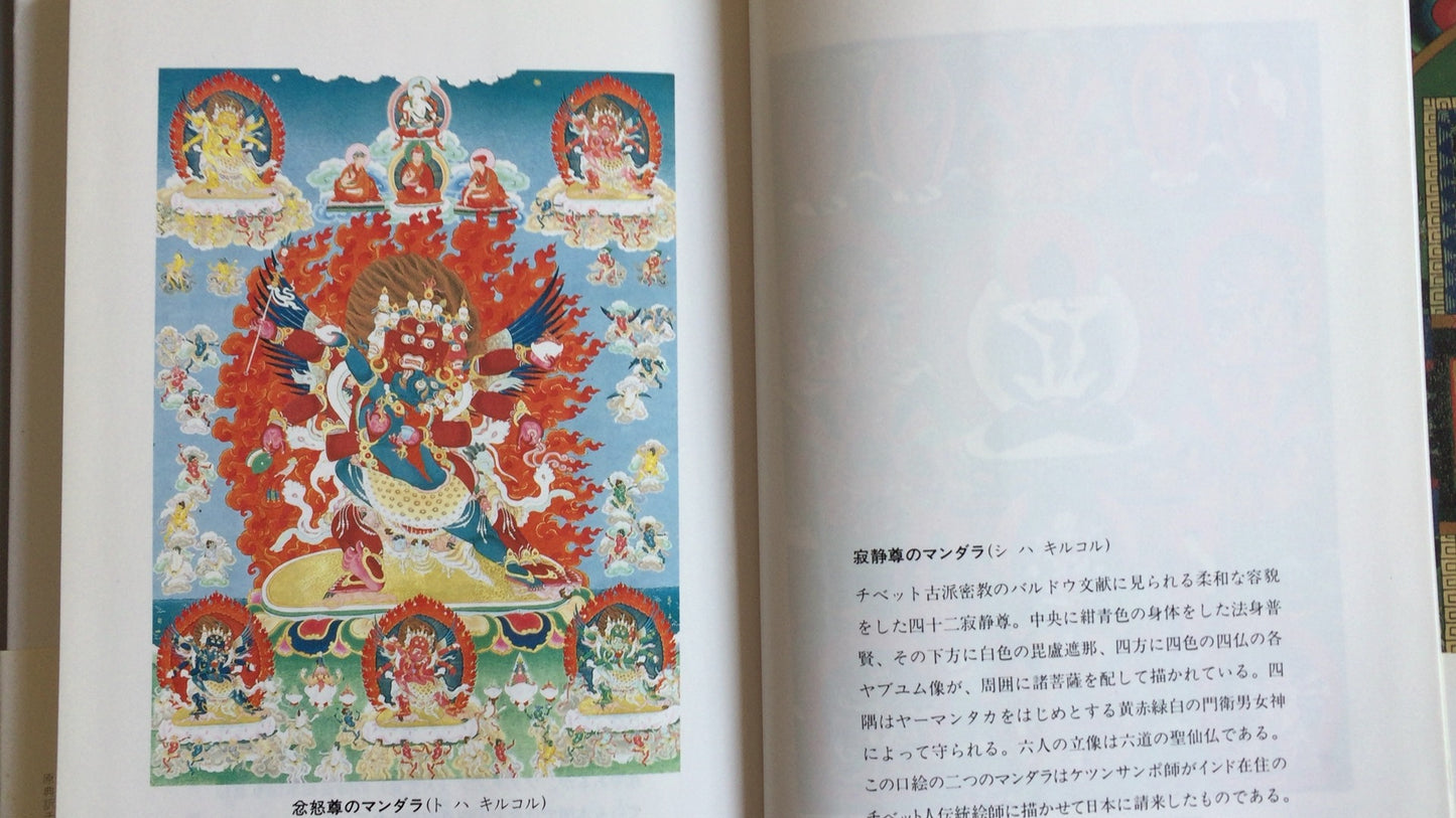301『原典訳 チベット死者の書』川崎信定訳/筑摩書房