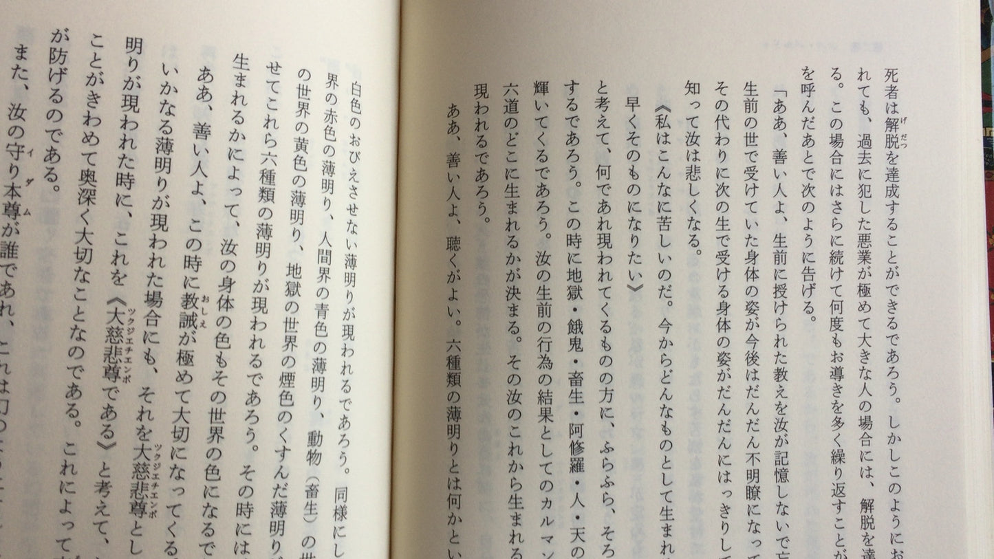301『原典訳 チベット死者の書』川崎信定訳/筑摩書房