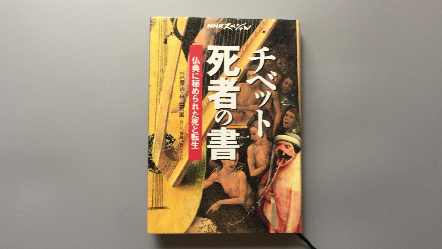 301『チベット死者の書 仏典に秘められた死と転生』河邑 厚徳著/林 由香里著/NHKスペシャル/日本放送協会
