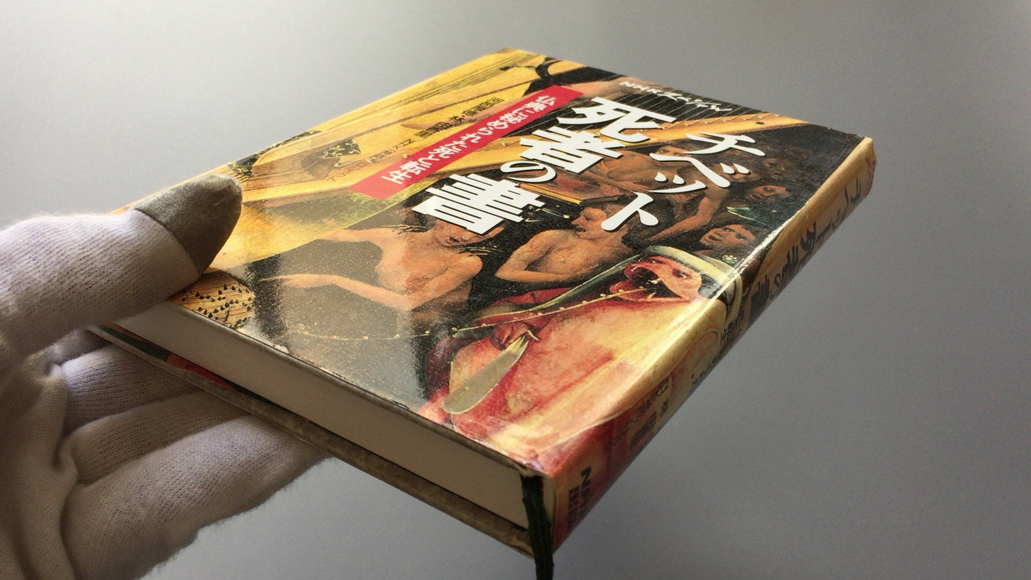 301『チベット死者の書 仏典に秘められた死と転生』河邑 厚徳著/林 由香里著/NHKスペシャル/日本放送協会